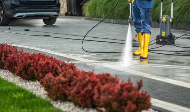 Best Sidewalk and Walkway Cleaning  in Ol, LA